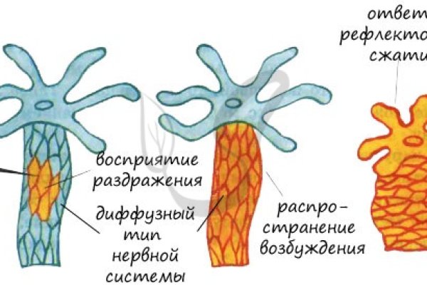 Мониторинг меги