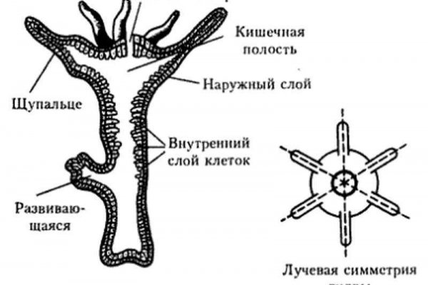 Омг онлайн сайт