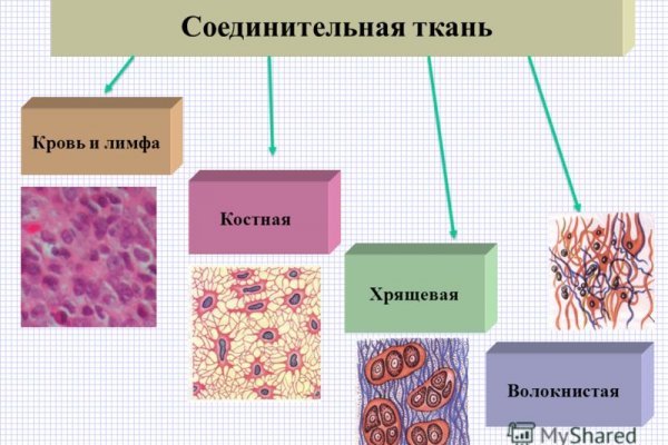 Омг онион тор