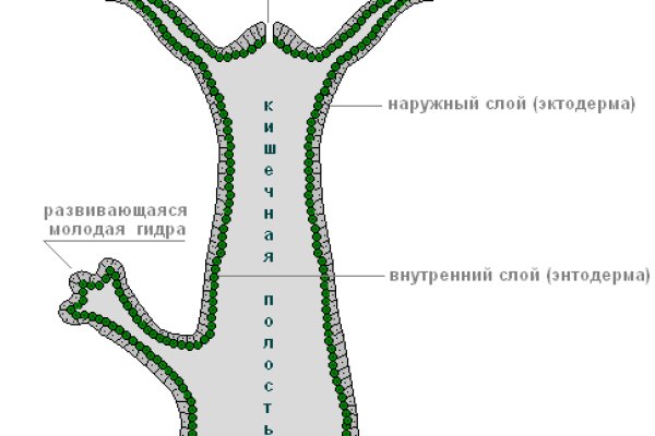 Мега магазин закладок